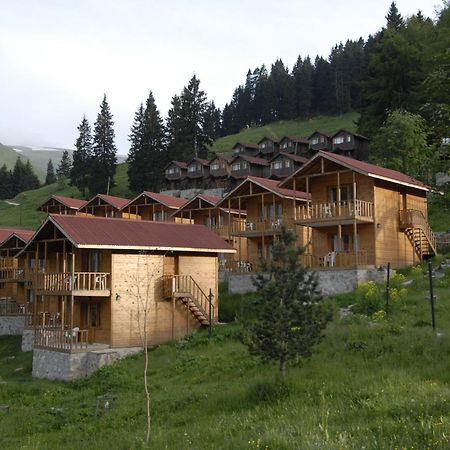Zitas Zigana Yayla Tatil Koyu Macka Exteriér fotografie