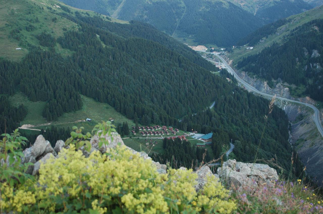 Zitas Zigana Yayla Tatil Koyu Macka Exteriér fotografie