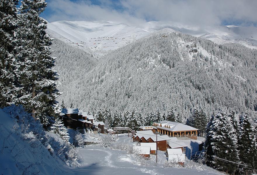 Zitas Zigana Yayla Tatil Koyu Macka Exteriér fotografie