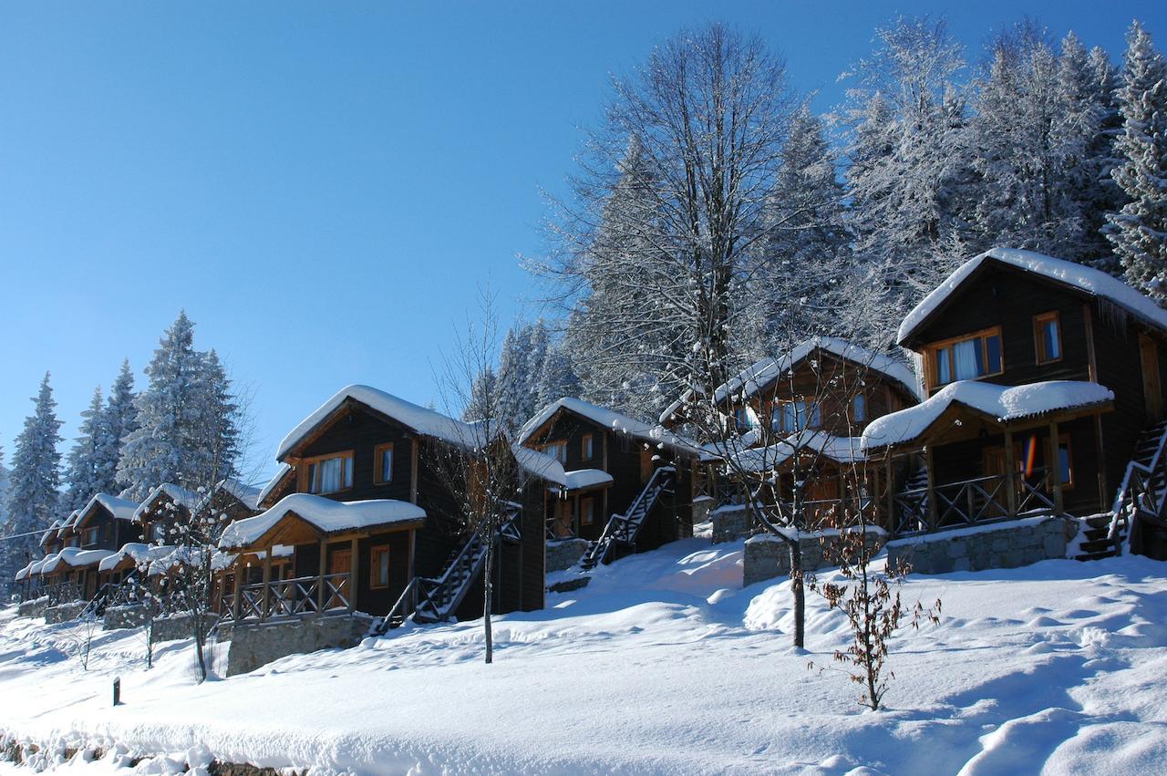 Zitas Zigana Yayla Tatil Koyu Macka Exteriér fotografie