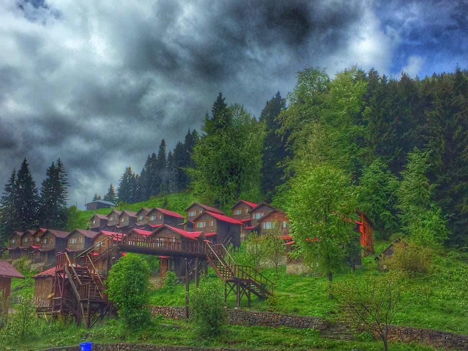 Zitas Zigana Yayla Tatil Koyu Macka Exteriér fotografie