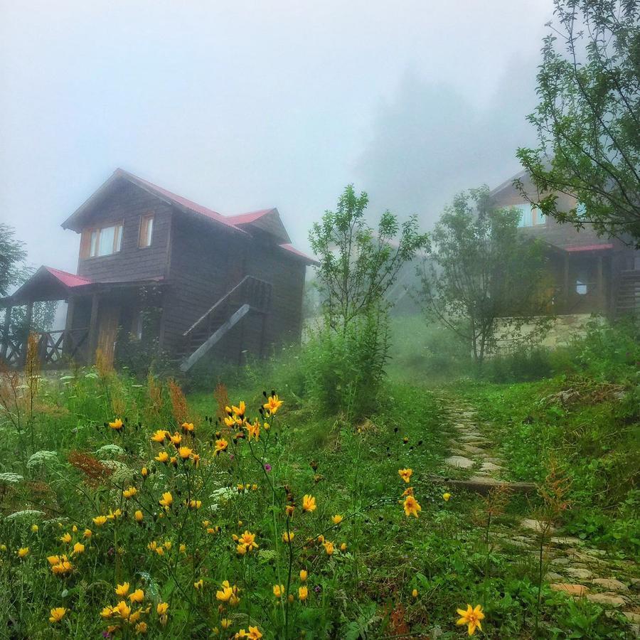 Zitas Zigana Yayla Tatil Koyu Macka Exteriér fotografie