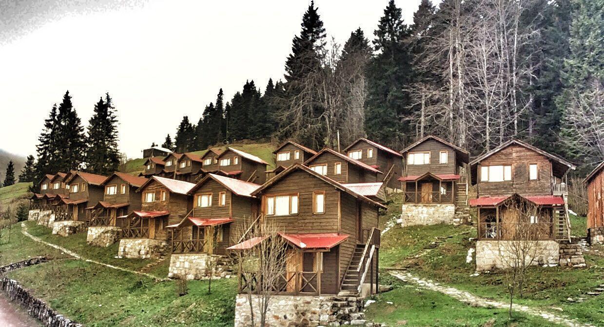Zitas Zigana Yayla Tatil Koyu Macka Exteriér fotografie